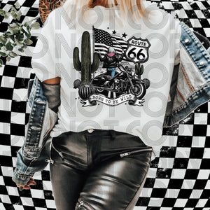 Route 66 born to be wild female