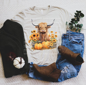 Highland cow with pumpkins and sunflowers